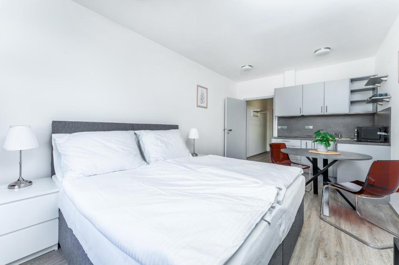 Apartman V Podebradech Podebrady Exterior photo